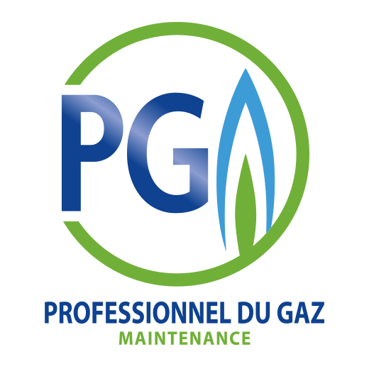 Professionnels du Gaz Maintenance